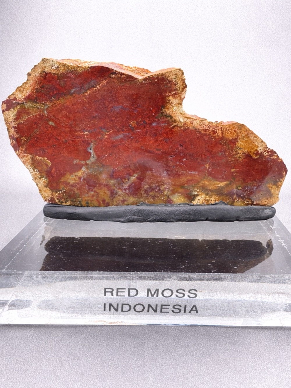 Red Moss Indonesia